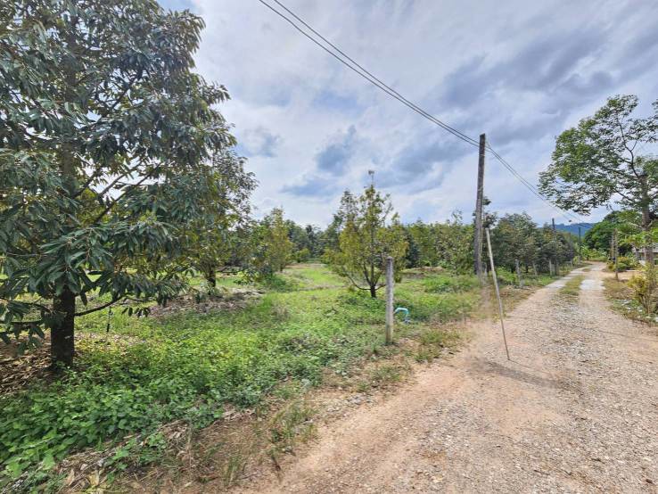 ขายที่ดินพร้อมสวนผลไม้-5-ไร่-อำเภอนายายอาม-จันทบุรี