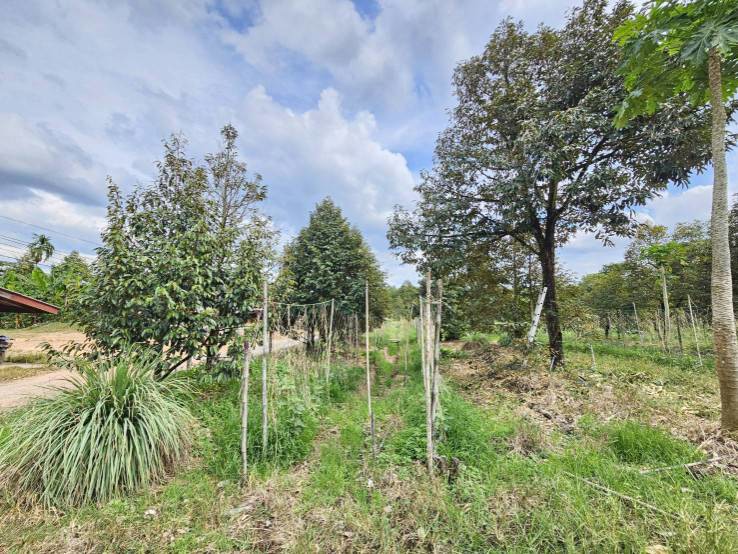 ขายที่ดินพร้อมสวนผลไม้-5-ไร่-อำเภอนายายอาม-จันทบุรี