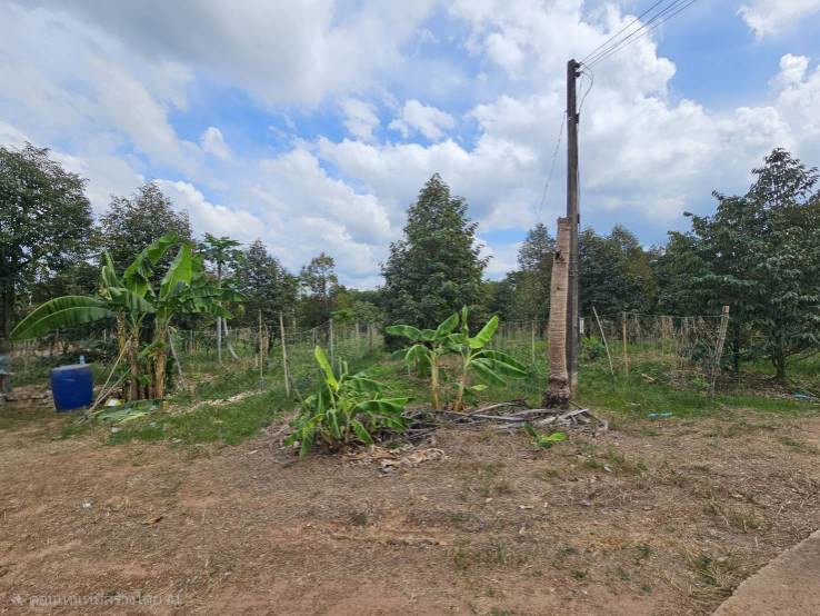 ขายที่ดินพร้อมสวนผลไม้-5-ไร่-อำเภอนายายอาม-จันทบุรี