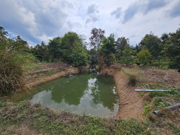 ขายที่ดินพร้อมสวนผลไม้-5-ไร่-อำเภอนายายอาม-จันทบุรี