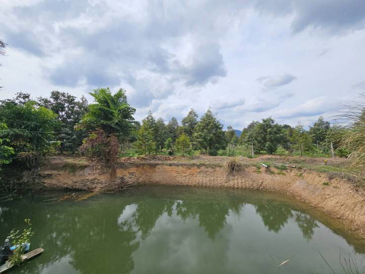 ขายที่ดินพร้อมสวนผลไม้-5-ไร่-อำเภอนายายอาม-จันทบุรี