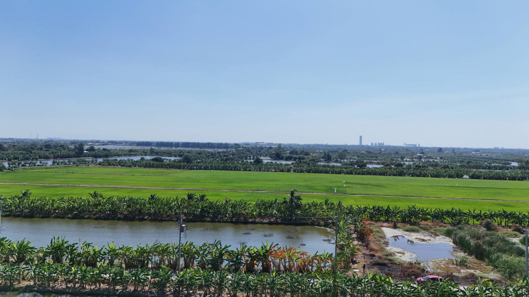 ขายที่ดิน-1-ไร่-ซอยวัดบัวโรย-สมุทรปราการ