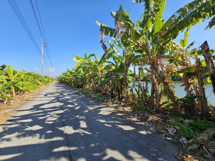 ขายที่ดิน-1-ไร่-ซอยวัดบัวโรย-สมุทรปราการ