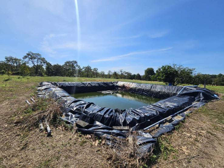 ขายสวนผลไม้-อำเภอขลุง-จันทบุรี-พร้อมให้ผลผลิต