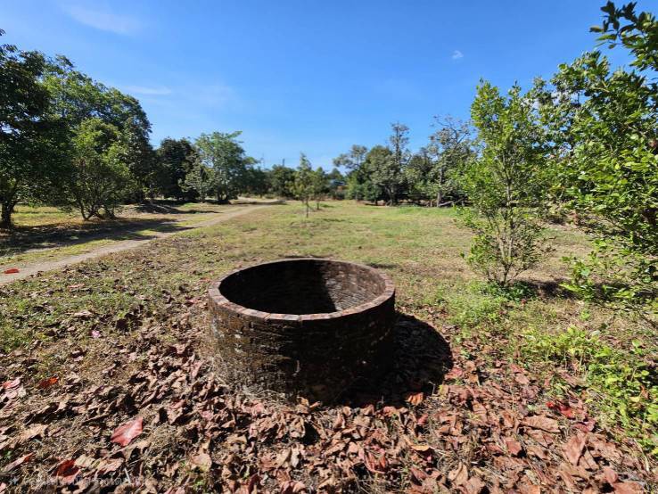 ขายสวนผลไม้-อำเภอขลุง-จันทบุรี-พร้อมให้ผลผลิต