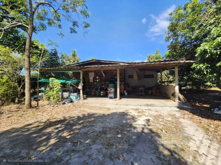 ขายสวนผลไม้-อำเภอขลุง-จันทบุรี-พร้อมให้ผลผลิต