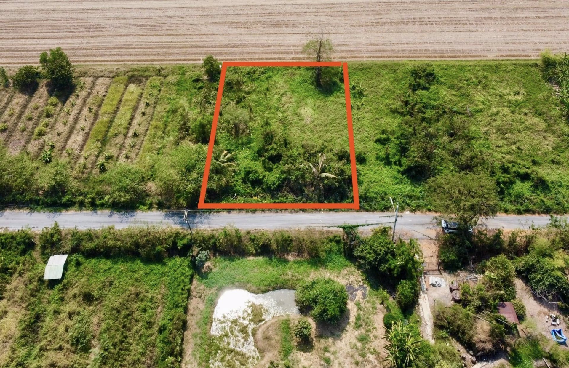ขายถูก-ที่ดินคลอง6-พื้นที่-330-ตรว-ขาย-13-ล้าน