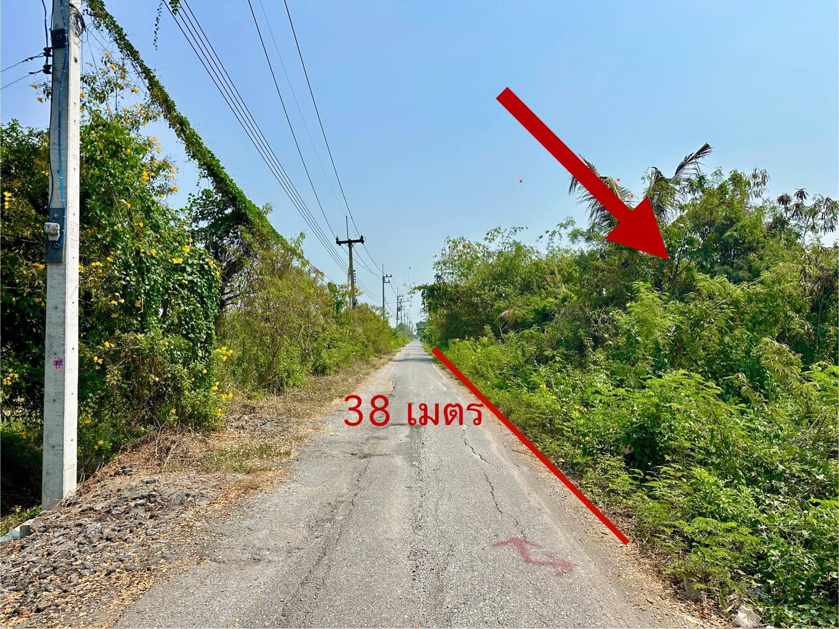 ขายถูก-ที่ดินคลอง6-พื้นที่-330-ตรว-ขาย-13-ล้าน