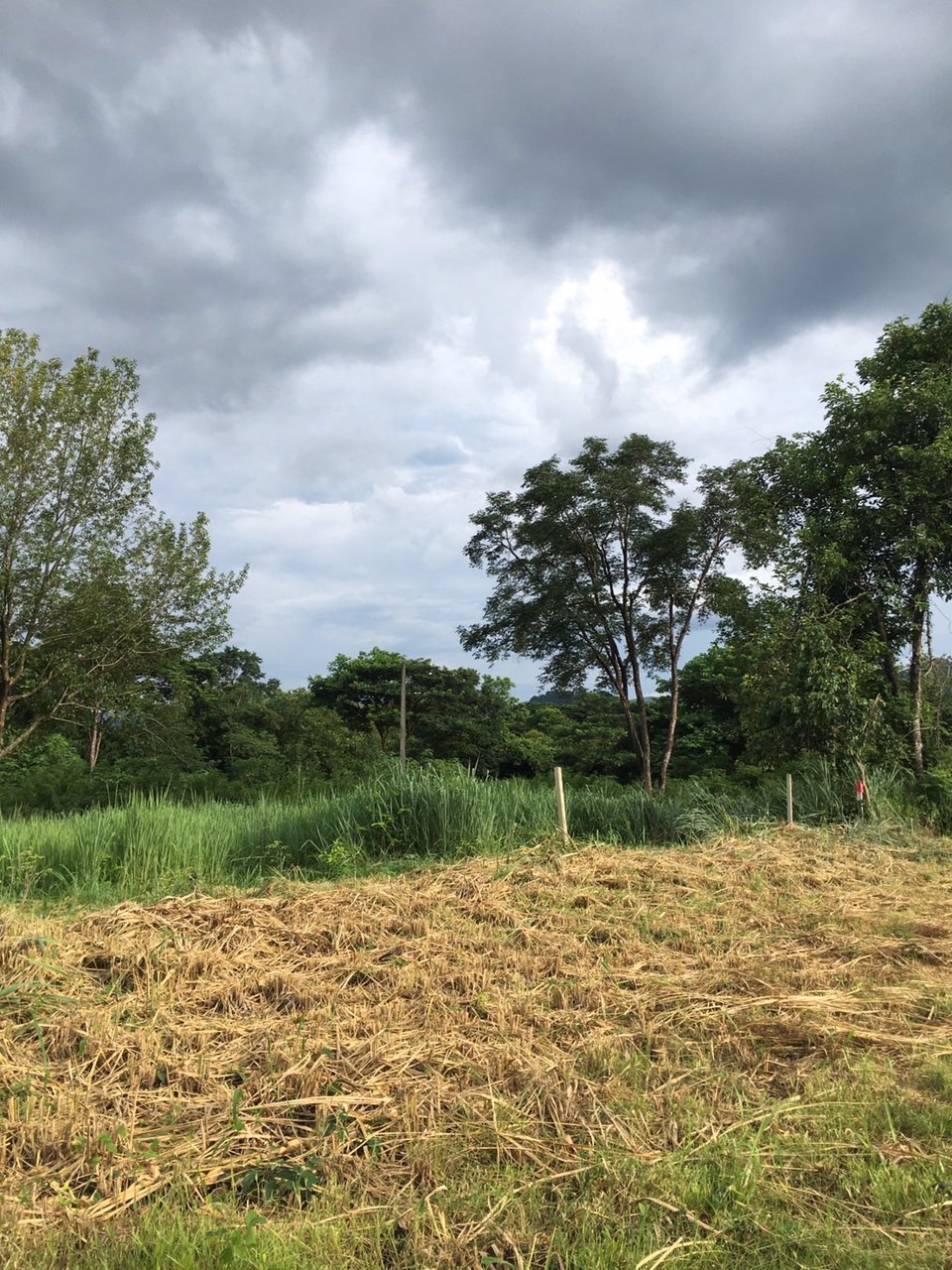 ขายที่ดินเขาใหญ่-ทำเลทอง-ใกล้ถนนมิตรภาพ-1-ไร่-3-งาน-684-ตารางวา-ตพญาเย็น-อปากช่อง-จนครราชสีมา