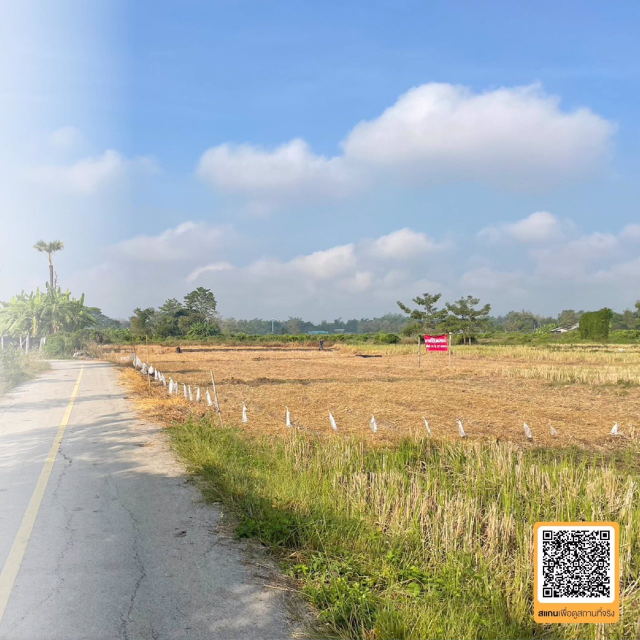 ประกาศขายที่นา-ตำบลแม่โป่ง-อำเภอดอยสะเก็ด-เจ้าของขายเอง