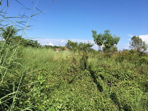 ขายที่ดินเปล่า-บางไทร-เวลเนสซิตี้-ราคาต่ำกว่าประเมิน