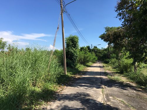 ขายที่ดินเปล่า-บางไทร-เวลเนสซิตี้-ราคาต่ำกว่าประเมิน