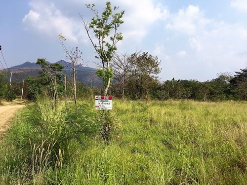 ขายที่ดินเปล่า-มวกเหล็ก-4-ไร่-ใกล้สนามกอล์ฟ-เซอร์เจมส์-คันทรี่-คลับ