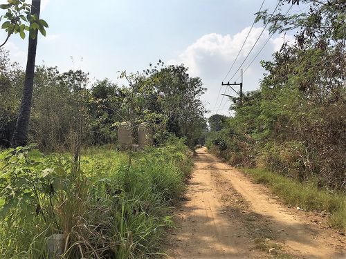 ขายที่ดินเปล่า-มวกเหล็ก-4-ไร่-ใกล้สนามกอล์ฟ-เซอร์เจมส์-คันทรี่-คลับ