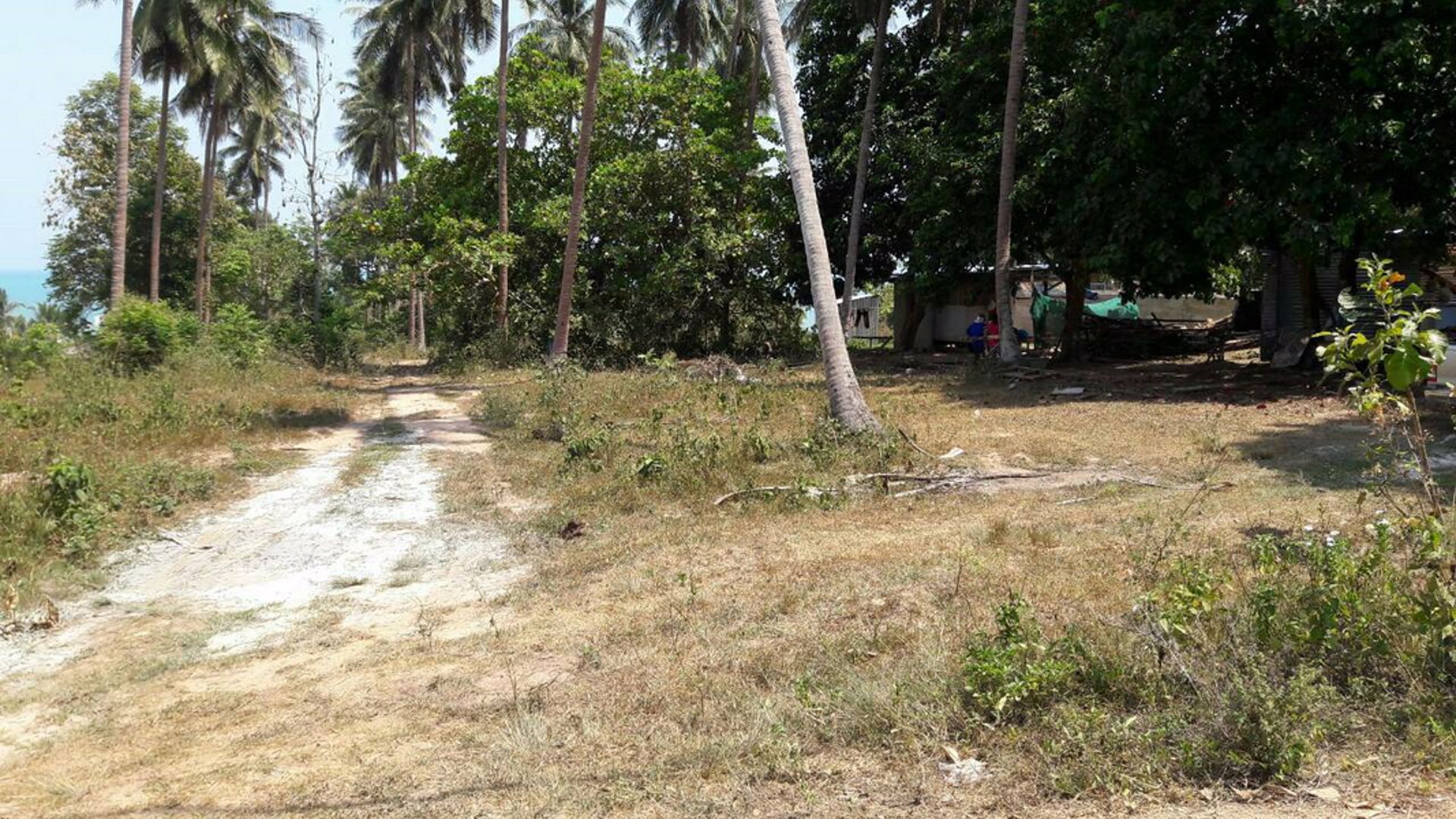 ขายที่ดิน-ติดทะเล-บางสะพาน-ประจวบคีรีขันธ์