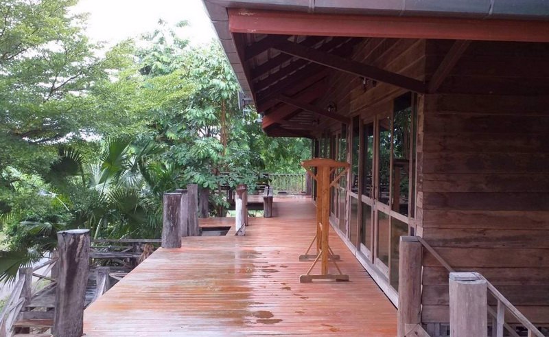 tc-086-ขายที่ดินสวนเกษตร-4-3-45-ไร่-พร้อมบ้าน-ป่าซาง-ลำพูน