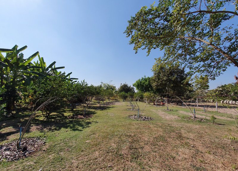 tc-086-ขายที่ดินสวนเกษตร-4-3-45-ไร่-พร้อมบ้าน-ป่าซาง-ลำพูน