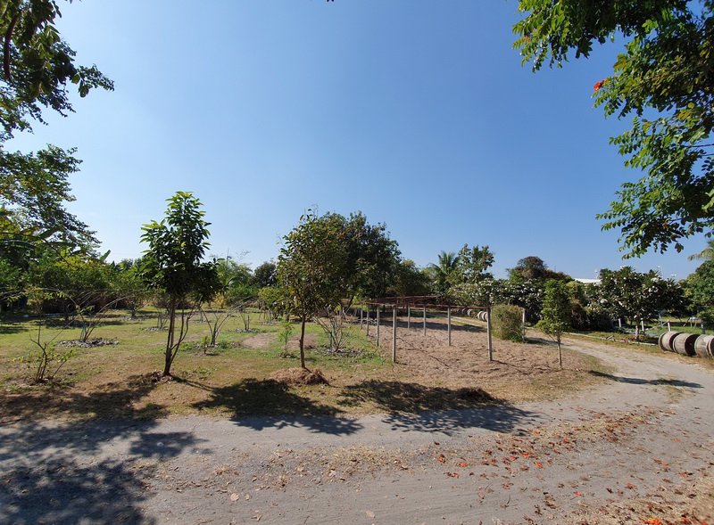 tc-086-ขายที่ดินสวนเกษตร-4-3-45-ไร่-พร้อมบ้าน-ป่าซาง-ลำพูน