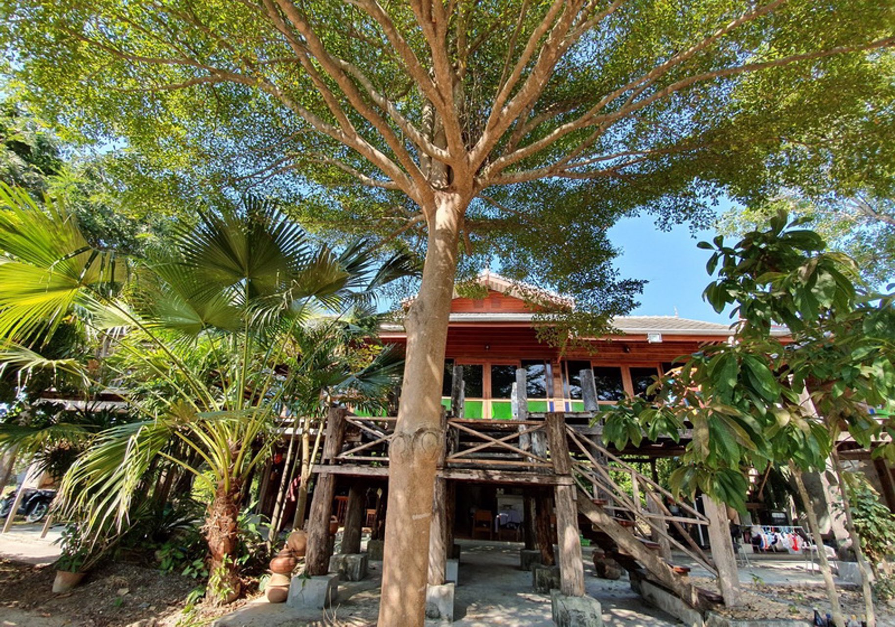 tc-086-ขายที่ดินสวนเกษตร-4-3-45-ไร่-พร้อมบ้าน-ป่าซาง-ลำพูน