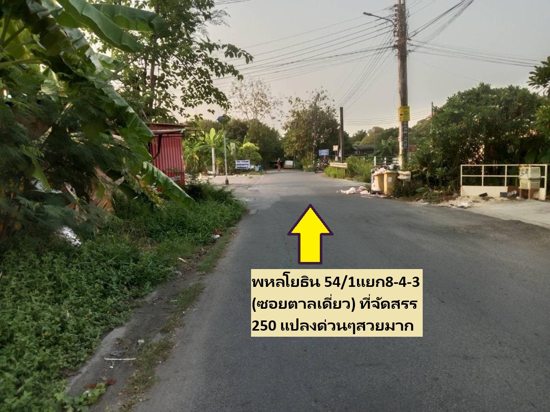 ขายที่ดิน-100-ตารางวาสร้างบ้าน-หอพัก-หรือโฮมออฟฟิศ-เป็นที่จัดสรรทำเลดีใกล้ถนนใหญ่ออกพหลโยธิน-แปลงสวย