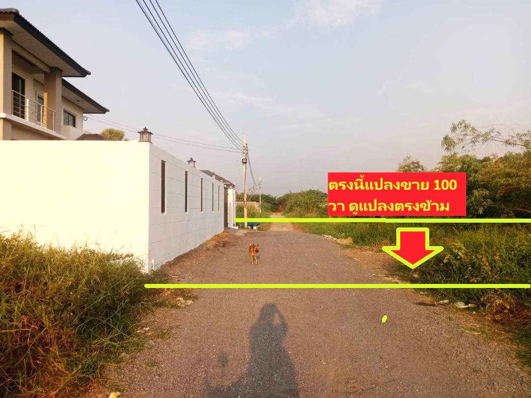 ขายที่ดิน-100-ตารางวาสร้างบ้าน-หอพัก-หรือโฮมออฟฟิศ-เป็นที่จัดสรรทำเลดีใกล้ถนนใหญ่ออกพหลโยธิน-แปลงสวย