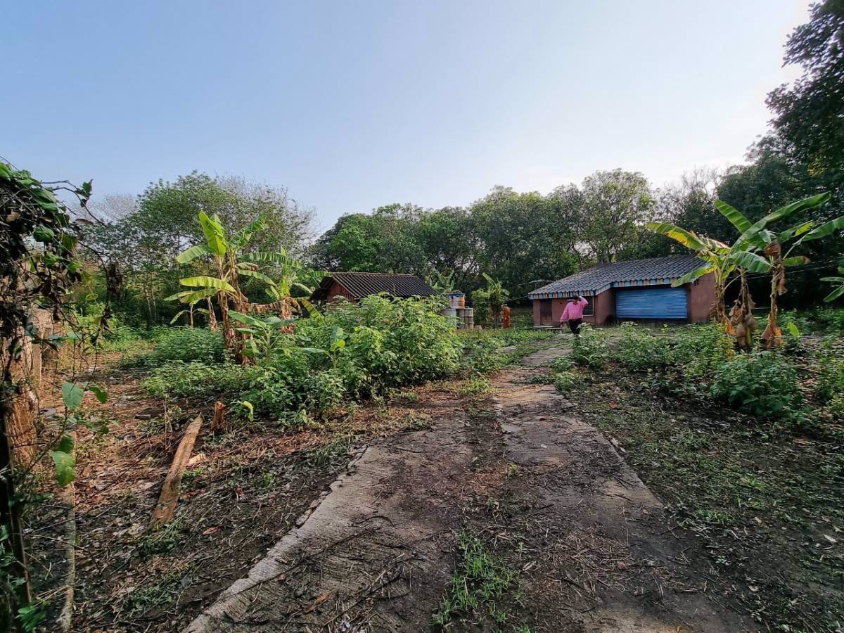 ขายที่โฉนด-เห็นวิวดอยสวย-อแม่ริม-ตเหมืองแก้ว-จ-เชียงใหม่-20ไร่-สนใจติดต่อ-089-955-7746