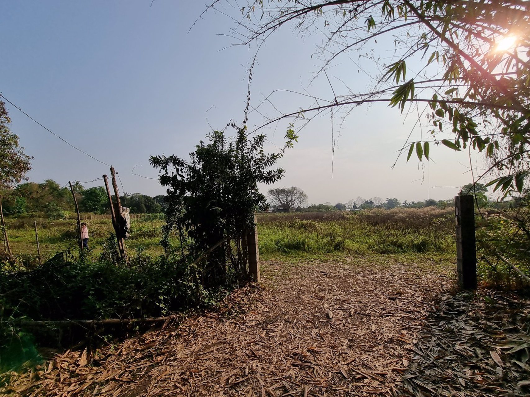 ขายที่โฉนด-เห็นวิวดอยสวย-อแม่ริม-ตเหมืองแก้ว-จ-เชียงใหม่-20ไร่-สนใจติดต่อ-089-955-7746