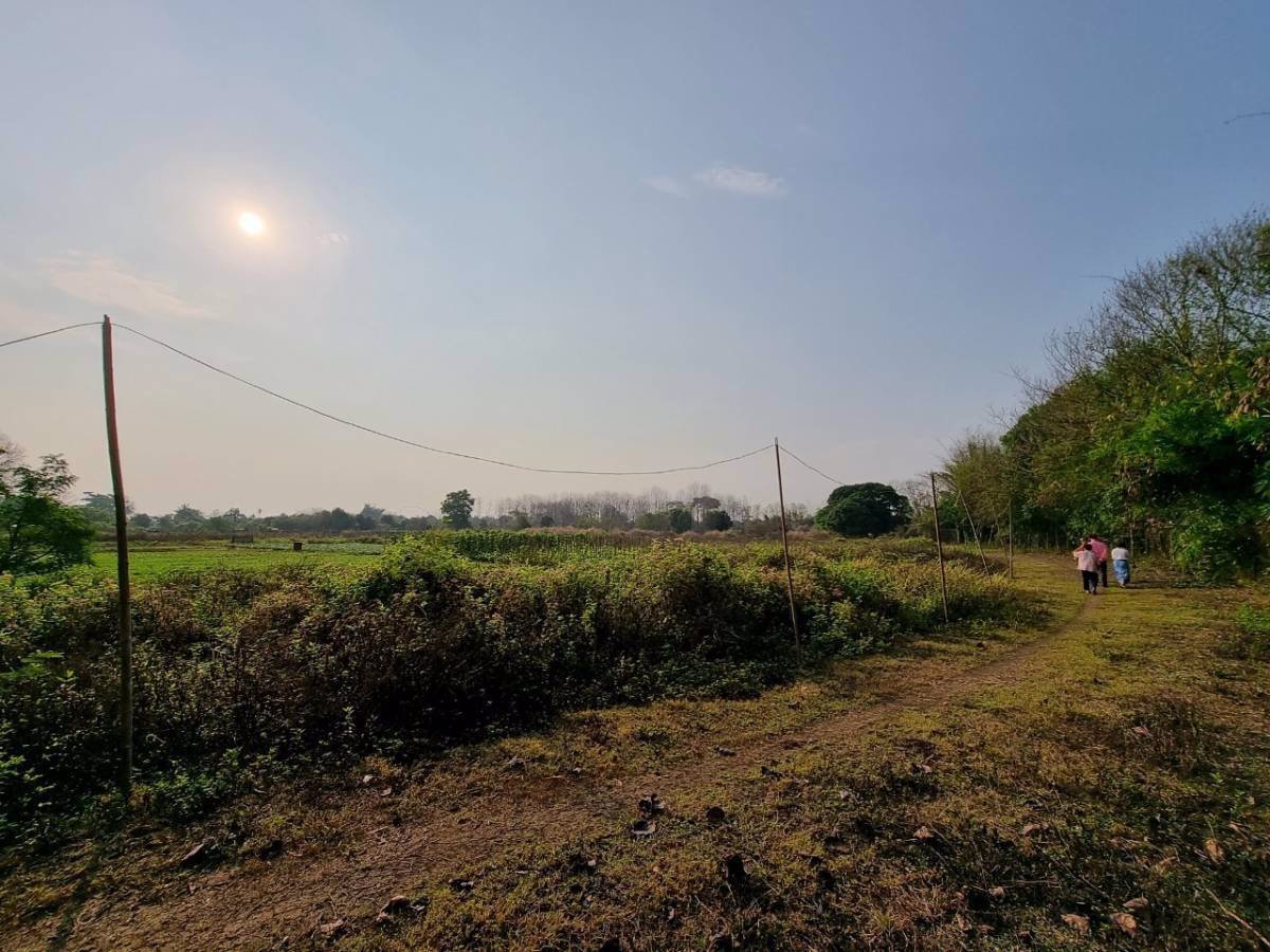 ขายที่โฉนด-เห็นวิวดอยสวย-อแม่ริม-ตเหมืองแก้ว-จ-เชียงใหม่-20ไร่-สนใจติดต่อ-089-955-7746