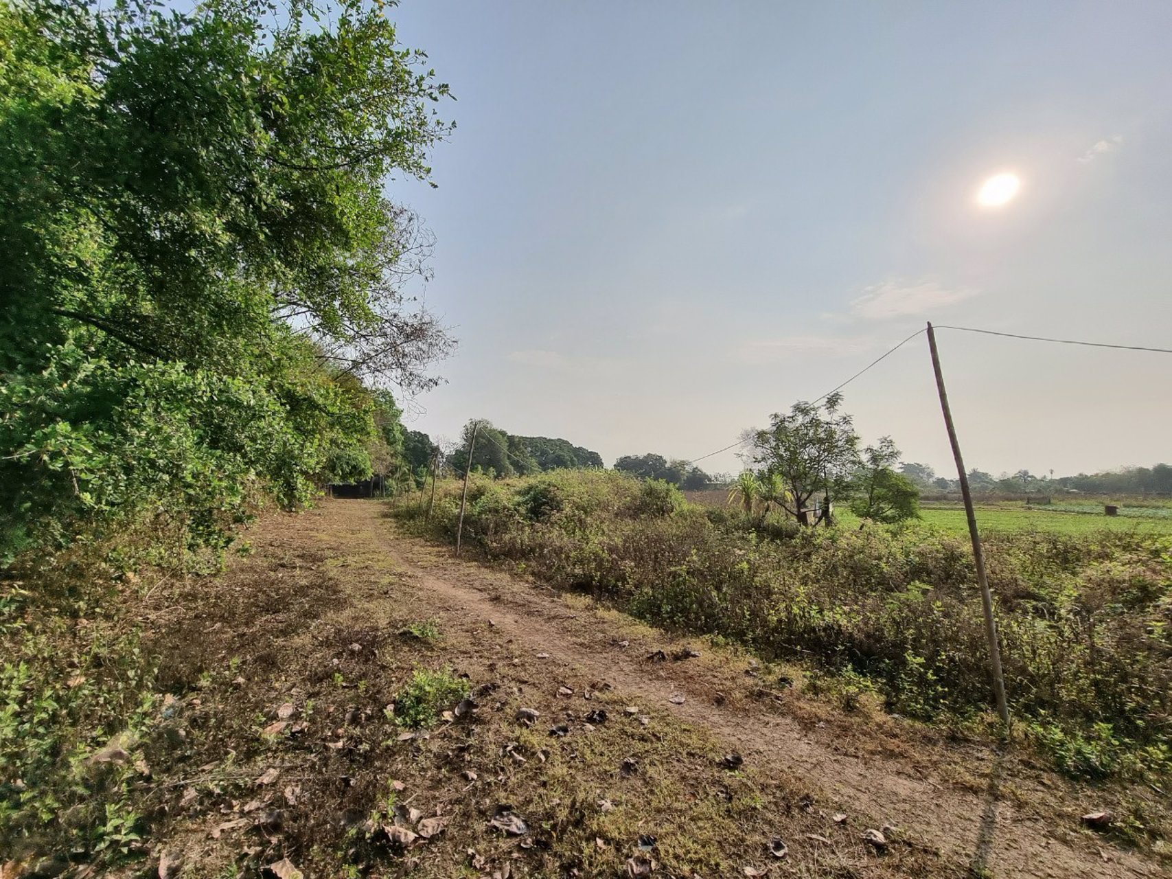 ขายที่โฉนด-เห็นวิวดอยสวย-อแม่ริม-ตเหมืองแก้ว-จ-เชียงใหม่-20ไร่-สนใจติดต่อ-089-955-7746