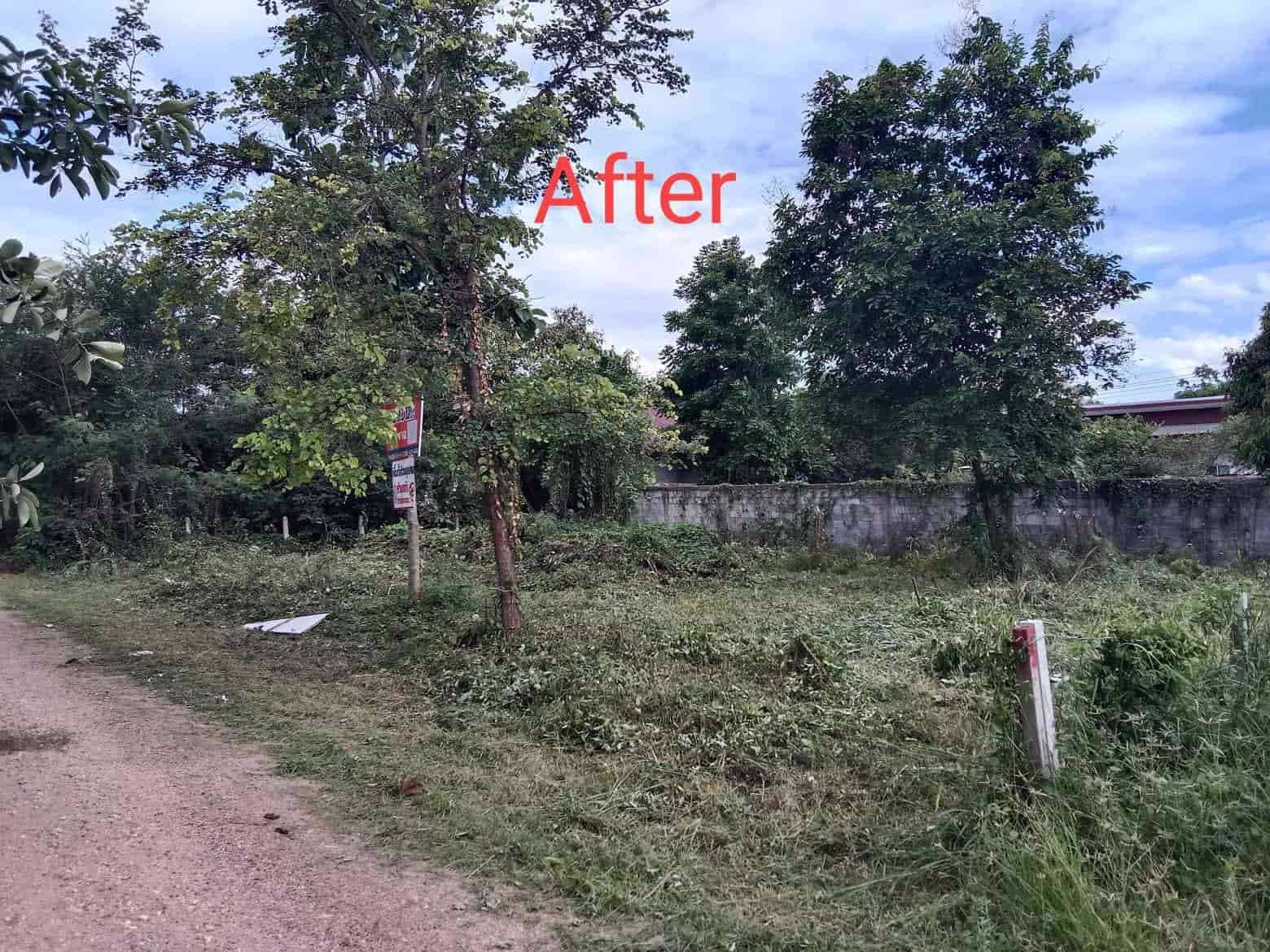 ขายที่ดินเนื้อที่-1-งาน-ขนาด-25-x-15-ม-อยู่ในเขตทำเลทอง-ทำเลดี-มีเพื่อนบ้านชุมชนดวงตะวัน