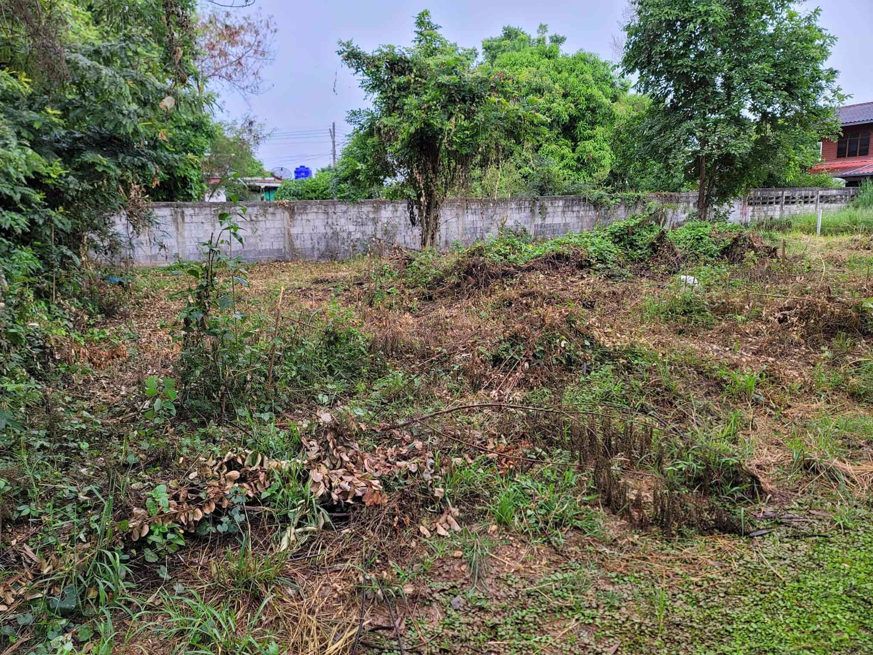 ขายที่ดินเนื้อที่-1-งาน-ขนาด-25-x-15-ม-อยู่ในเขตทำเลทอง-ทำเลดี-มีเพื่อนบ้านชุมชนดวงตะวัน