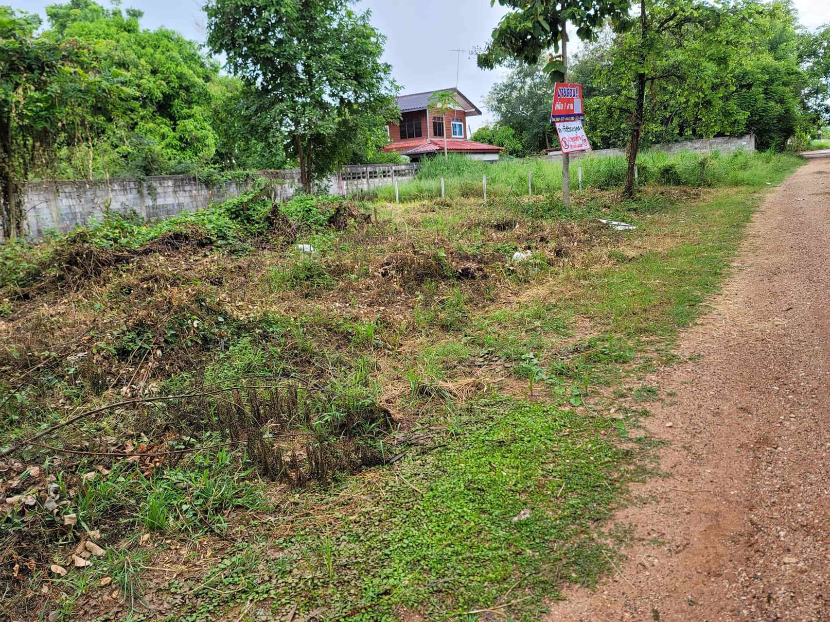 ขายที่ดินเนื้อที่-1-งาน-ขนาด-25-x-15-ม-อยู่ในเขตทำเลทอง-ทำเลดี-มีเพื่อนบ้านชุมชนดวงตะวัน