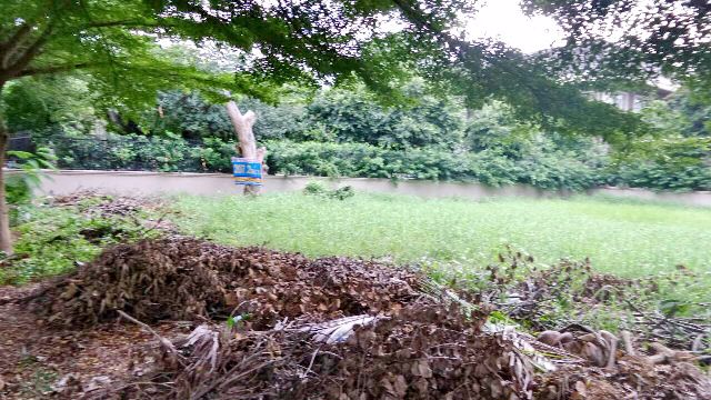 ขายที่ดินเปล่า-2072-ตรว-ในโครงการเบเวอรี่-ฮิลล์-ติดถนนแจ้งวัฒนะ-รหัสทรัพย์สิน-000991-