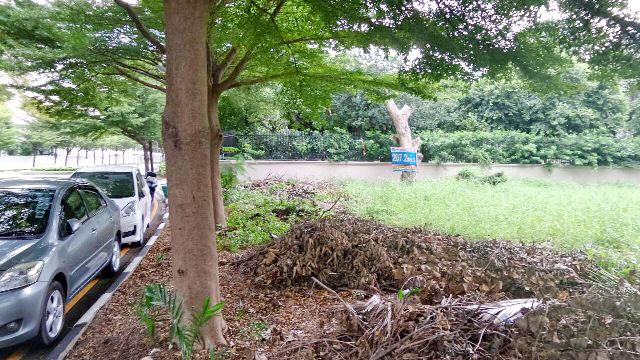 ขายที่ดินเปล่า-2072-ตรว-ในโครงการเบเวอรี่-ฮิลล์-ติดถนนแจ้งวัฒนะ-รหัสทรัพย์สิน-000991-