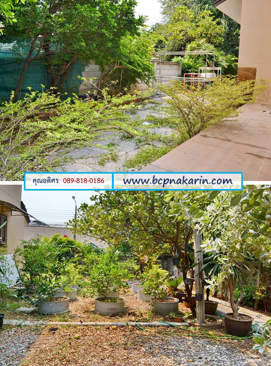 ขาย-บ้านเดี่ยว-2-ชั้น-สภาพสวย-ทำเลดี-ซอยอ่อนนุช-61-เนื้อที่-150-ตรว-001837