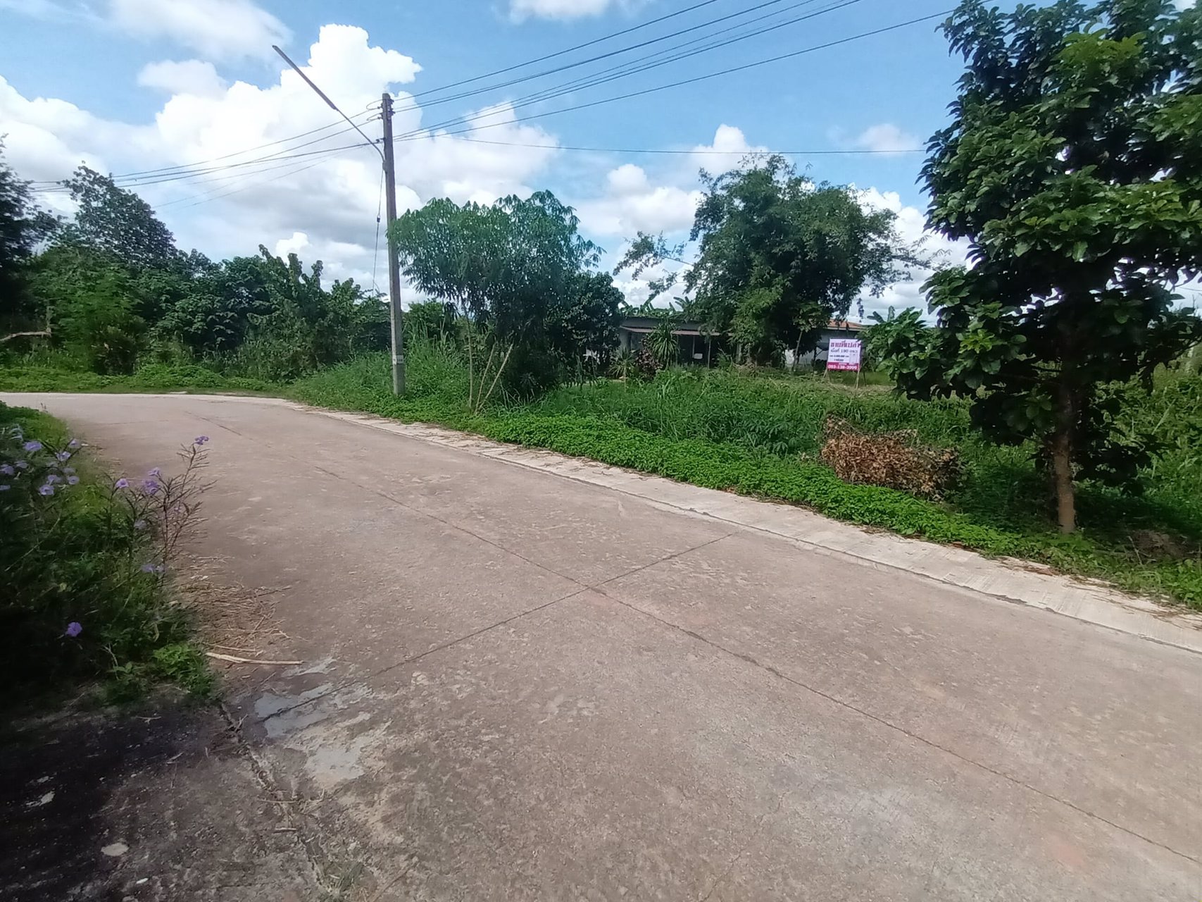 ขายทั้งเงินสด-เงินผ่อน-ที่ดิน-ขนาด-190-ตรว