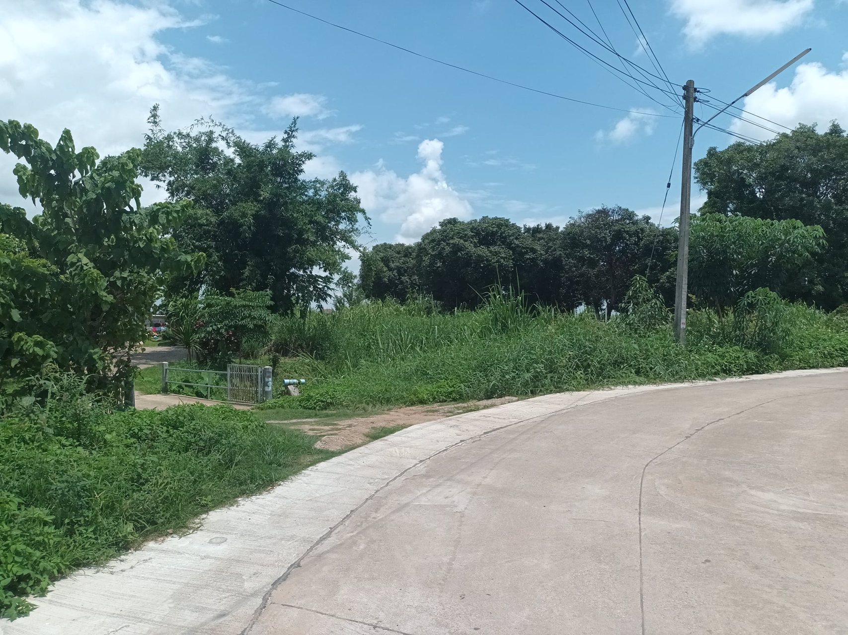 ขายทั้งเงินสด-เงินผ่อน-ที่ดิน-ขนาด-190-ตรว