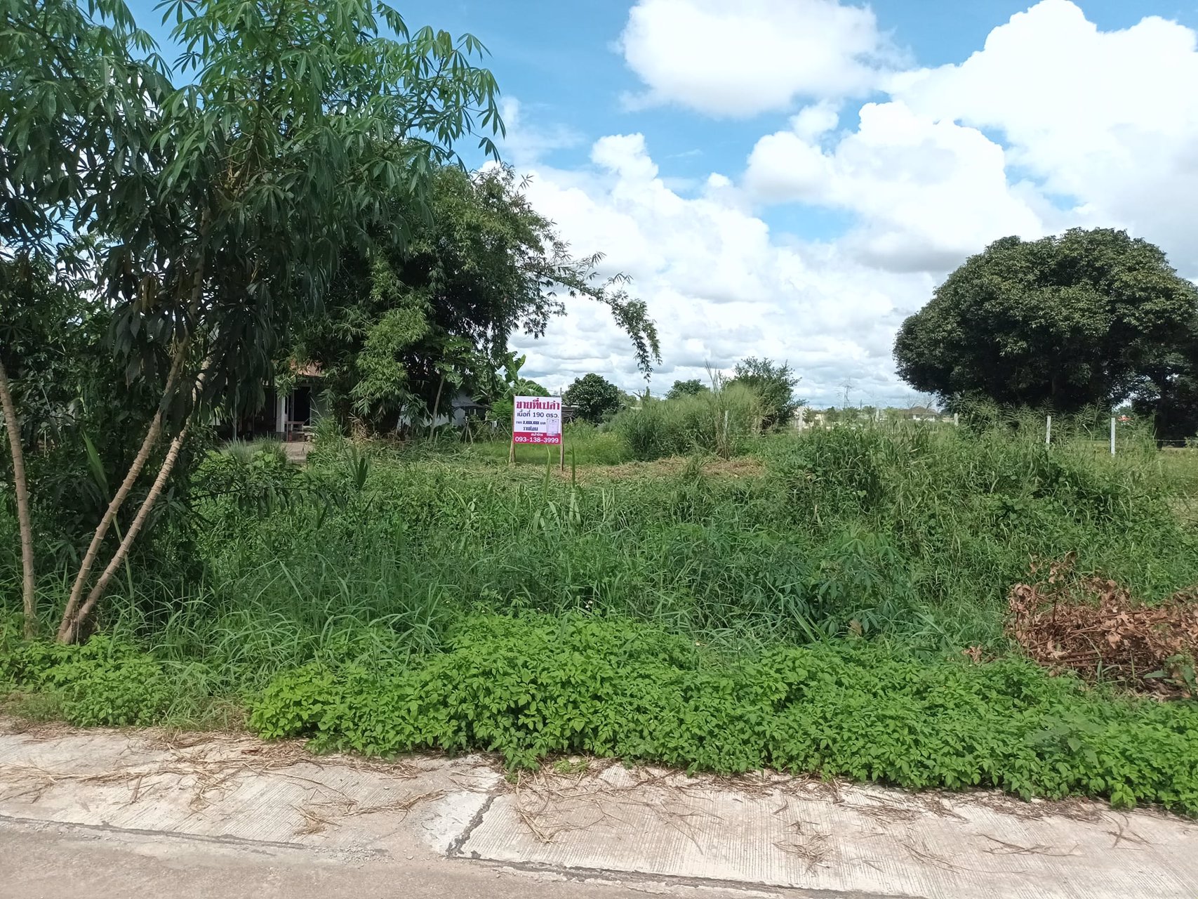 ขายทั้งเงินสด-เงินผ่อน-ที่ดิน-ขนาด-190-ตรว