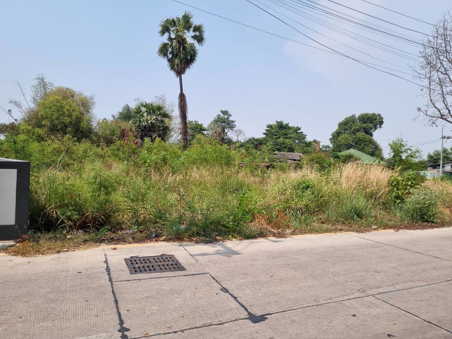 ขายที่-1-ไร่-1-งาน-39-ตรว-อเมือง-จชลบุรี-ราคา-9500000-บาท