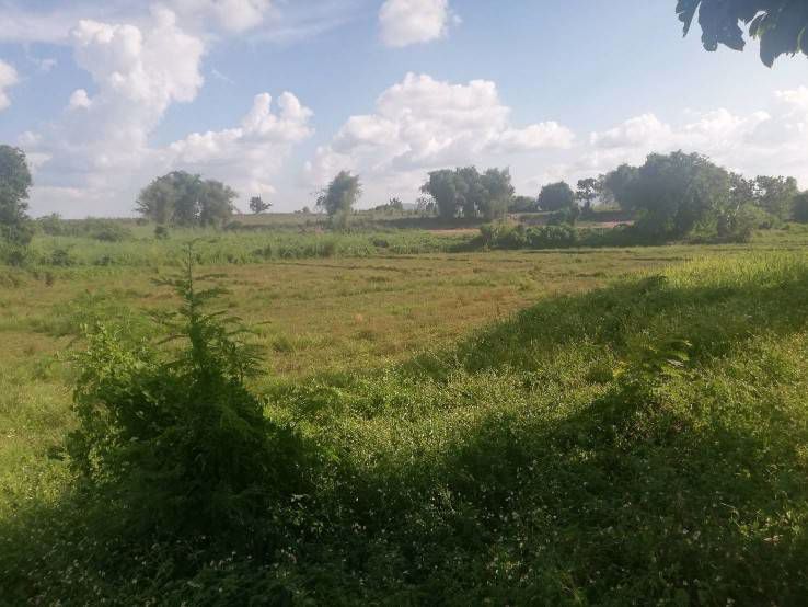 ที่ดินมีโฉนด-ใกล้ไร่ชาฉุยฟง-มีน้ำ-ไฟฟ้า-อแม่จัน-จเชียงราย