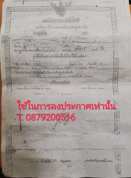 ที่ดินมีโฉนด-ใกล้ไร่ชาฉุยฟง-มีน้ำ-ไฟฟ้า-อแม่จัน-จเชียงราย