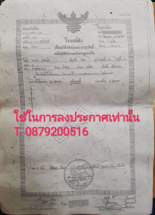 ที่ดินมีโฉนด-ใกล้ไร่ชาฉุยฟง-มีน้ำ-ไฟฟ้า-อแม่จัน-จเชียงราย