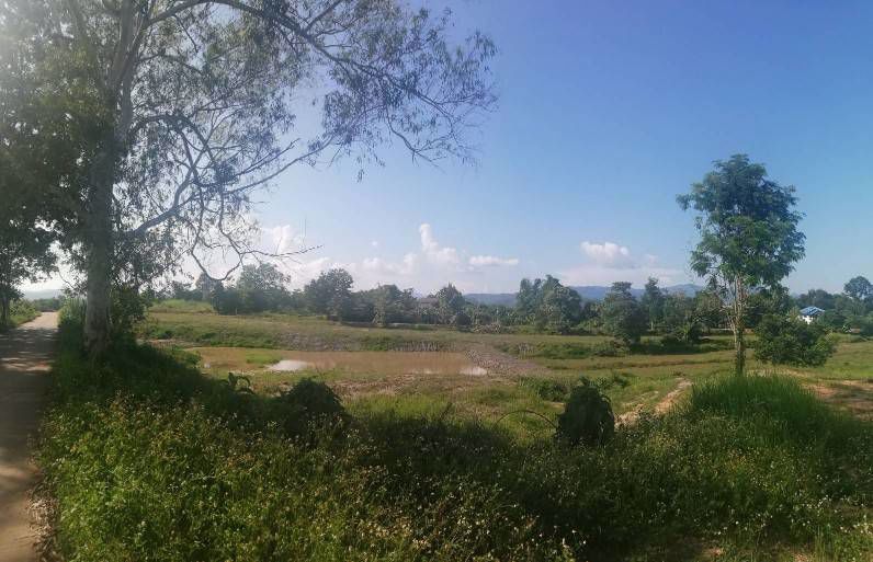 ที่ดินมีโฉนด-ใกล้ไร่ชาฉุยฟง-มีน้ำ-ไฟฟ้า-อแม่จัน-จเชียงราย