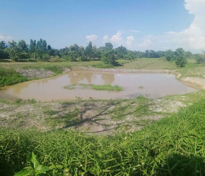 ที่ดินมีโฉนด-ใกล้ไร่ชาฉุยฟง-มีน้ำ-ไฟฟ้า-อแม่จัน-จเชียงราย