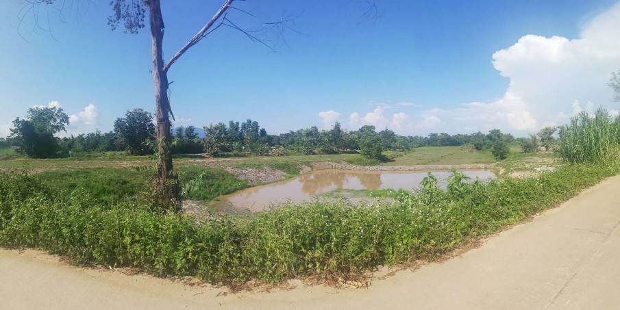 ที่ดินมีโฉนด-ใกล้ไร่ชาฉุยฟง-มีน้ำ-ไฟฟ้า-อแม่จัน-จเชียงราย