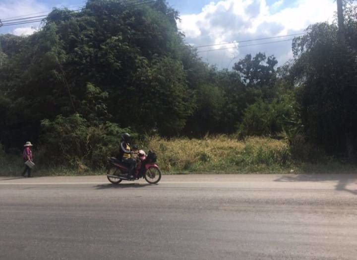 ให้เช่าที่ดินติดถนนเหมาะสำหรับสร้างบ้าน-ทำสวน-ทำไร่-อเมือง-จกำแพงเพชร