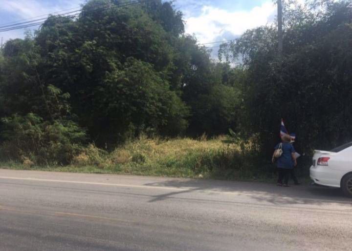 ให้เช่าที่ดินติดถนนเหมาะสำหรับสร้างบ้าน-ทำสวน-ทำไร่-อเมือง-จกำแพงเพชร