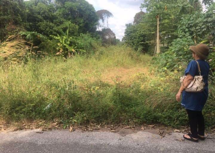 ให้เช่าที่ดินติดถนนเหมาะสำหรับสร้างบ้าน-ทำสวน-ทำไร่-อเมือง-จกำแพงเพชร