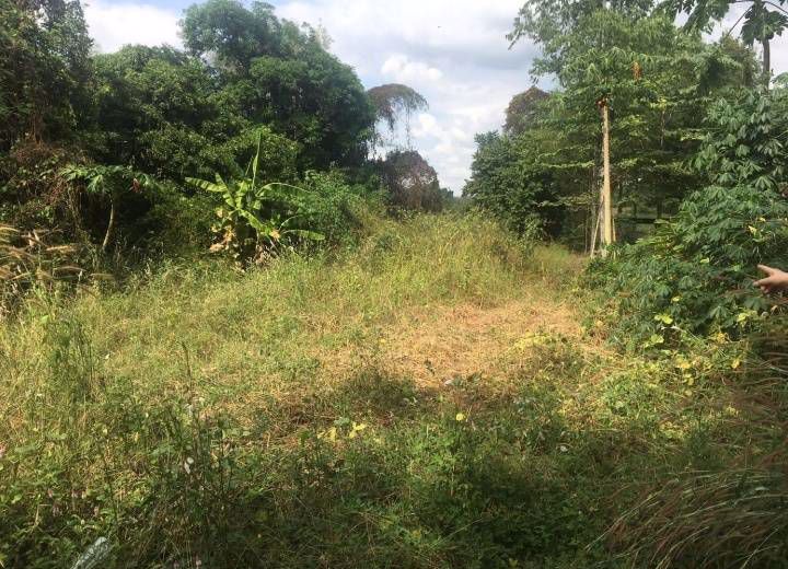 ให้เช่าที่ดินติดถนนเหมาะสำหรับสร้างบ้าน-ทำสวน-ทำไร่-อเมือง-จกำแพงเพชร