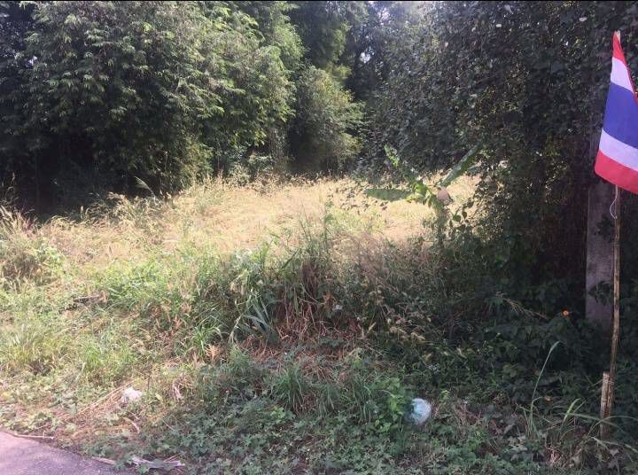 ให้เช่าที่ดินติดถนนเหมาะสำหรับสร้างบ้าน-ทำสวน-ทำไร่-อเมือง-จกำแพงเพชร